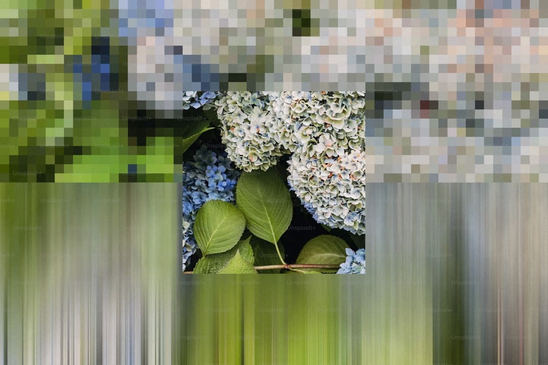 陈慧珊说现在以教育工作为重 拍剧已非人生主轴